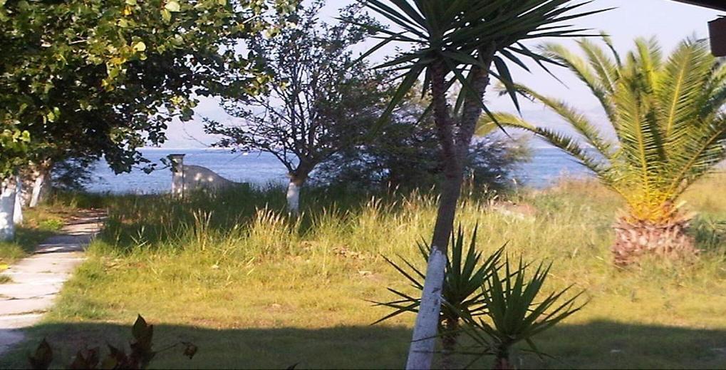 Virginia'S Beachfront Apartments Kavos Ngoại thất bức ảnh